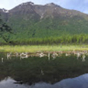 Meet your Posher, Lydia